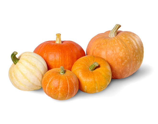 Assorted pumpkins and squash on white
