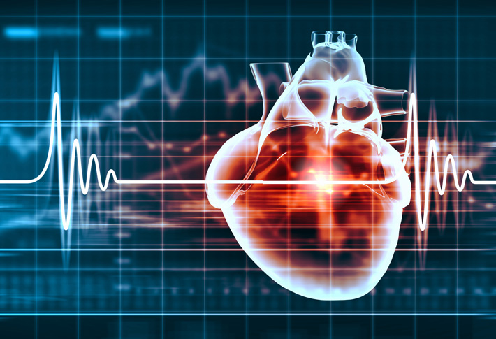 Digital illustration of human heart